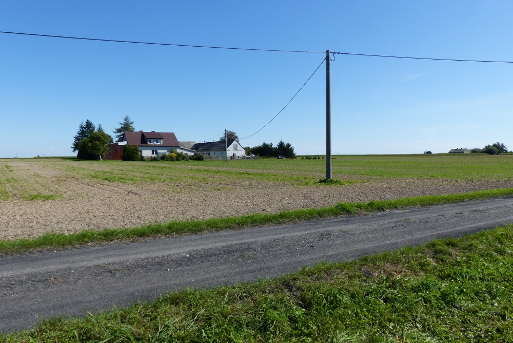 Widok w kierunku E / East view