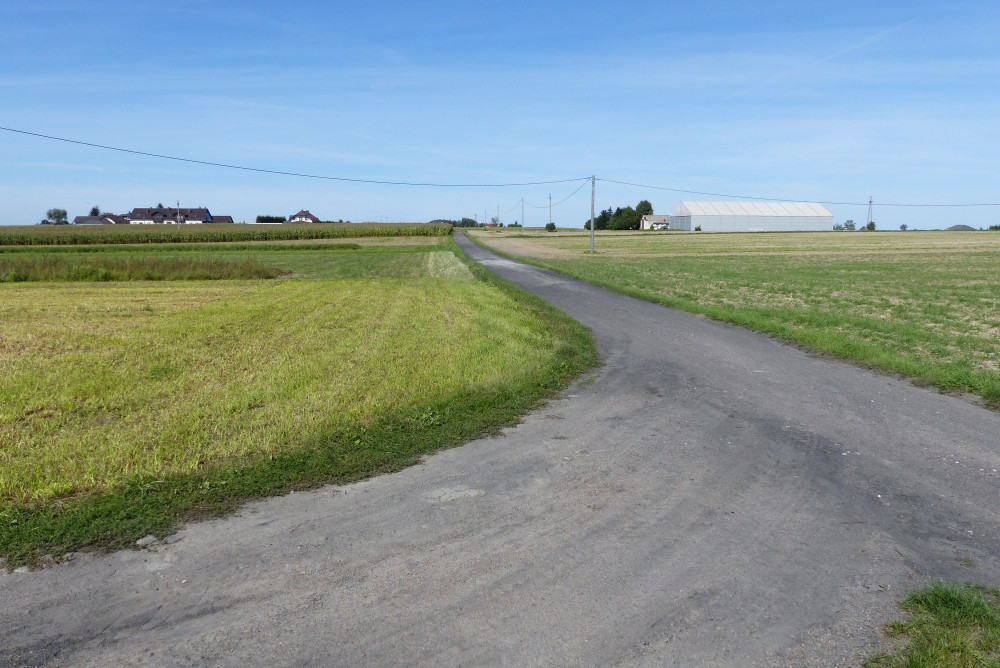 Widok ze skrzyżowania z drogą dojazdową do gospodarstwa / view to access road