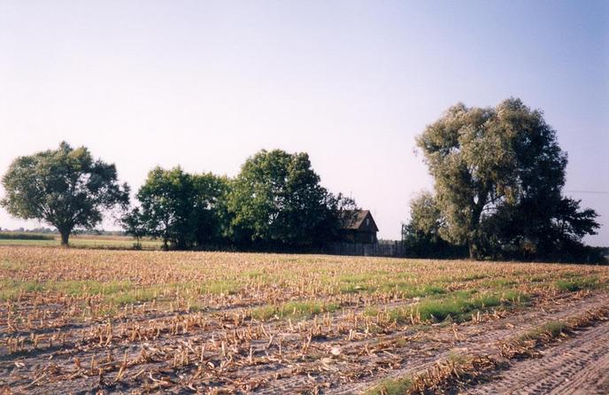 View towards N from the confluence