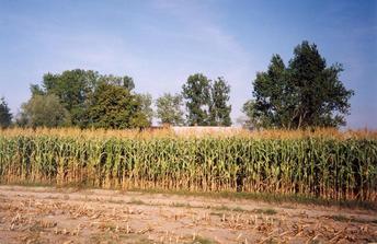 #1: General view of the confluence (towards E)