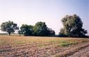 #2: View towards N from the confluence