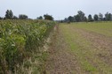 #2: South view - Południe