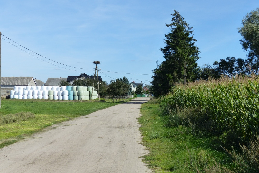 Widok w kierunku E / East view