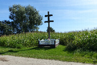 #9: Krzyz w obrębie pola kukurydzy / A cross within a corn field