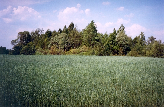 General view of the confluence (towards N)