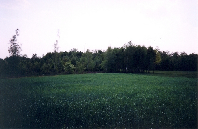 View towards S from the confluence
