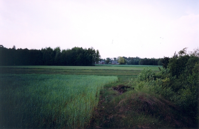 View towards W from the confluence (in the background buildings of Fijałkowo)