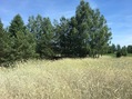 #3: View to the East