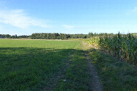 #10: Polna dróżka skrajem pola / A dirt path at the edge of a field