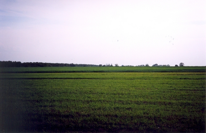 View towards W from the confluence