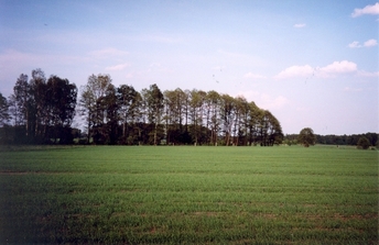 #1: General view of the confluence (towards E)