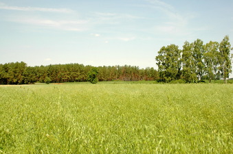 #1: North view