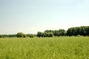 #2: East view