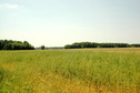 #3: South view