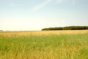 #4: West view