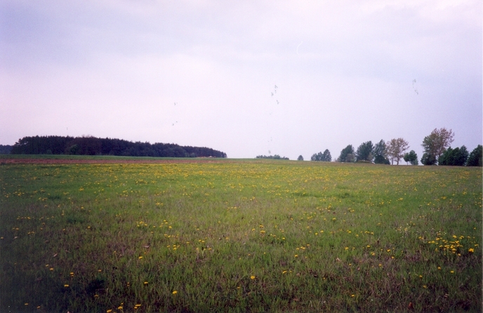 General view of the confluence (towards N)