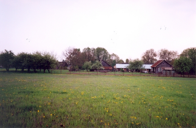 View towards S from the confluence