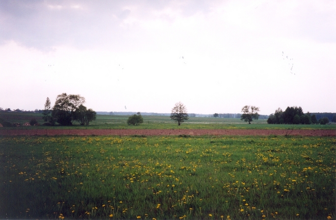 View towards W from the confluence