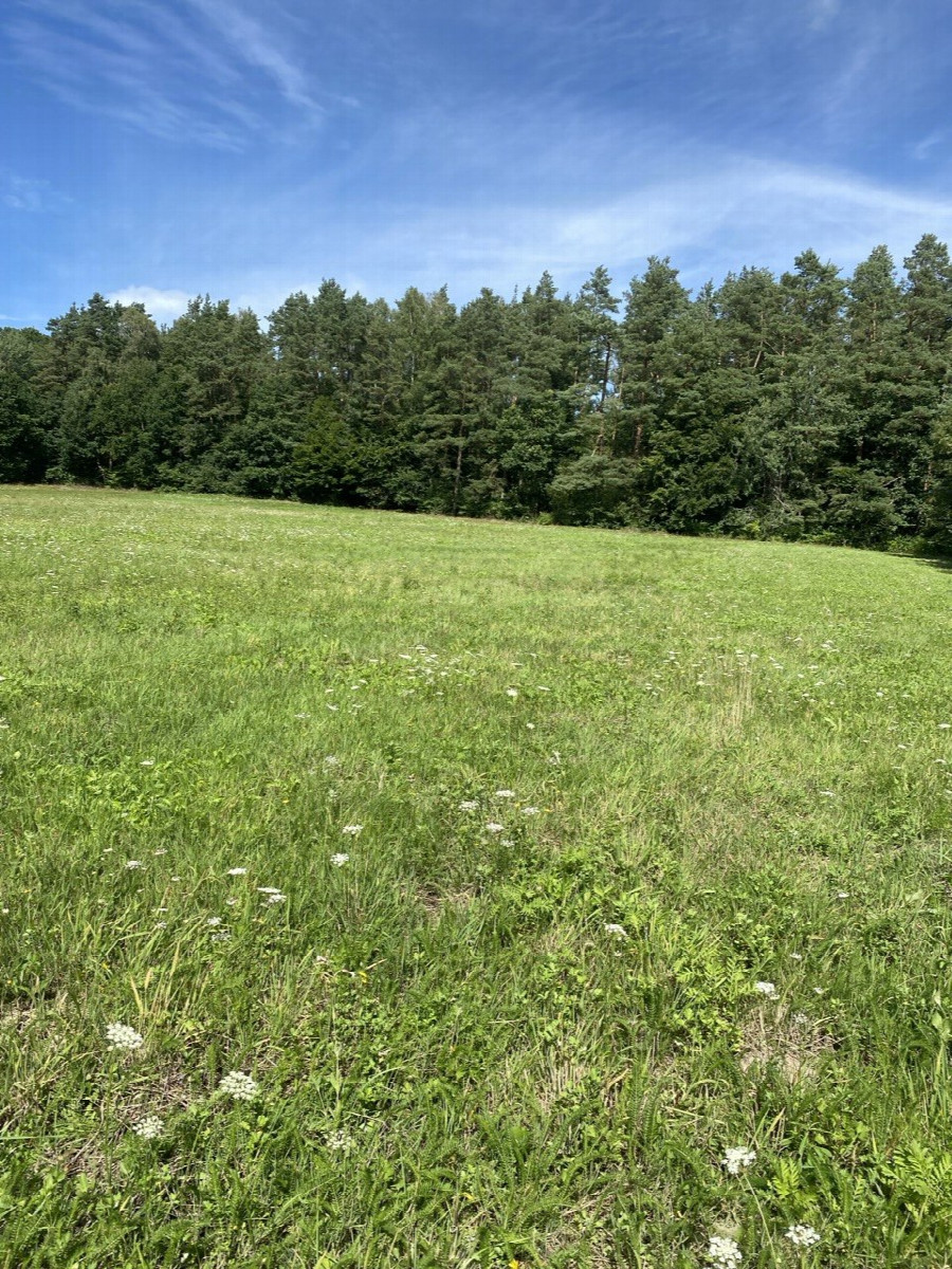 View to the north