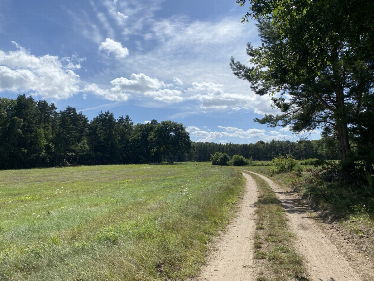 Road next to the meadow with the CP