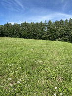 #2: View to the north