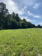 #4: View to the south
