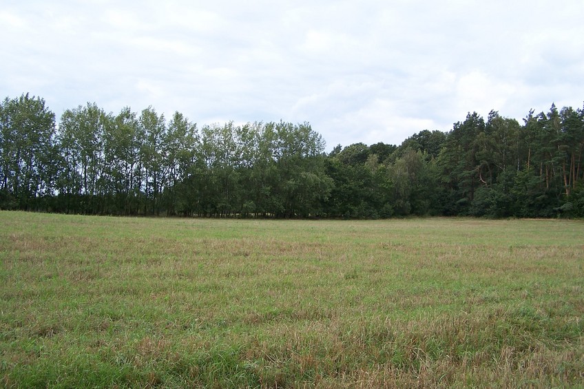 View towards N from the confluence