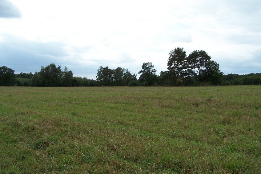 View towards SW from the confluence