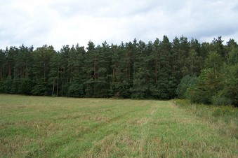 #1: General view of the confluence (towards NE)