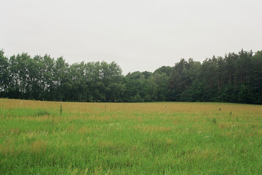 looking north from the CP