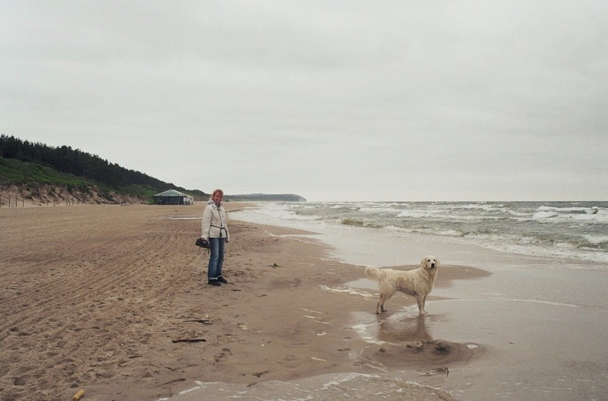 the windswept coast in the morning