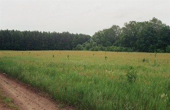 #1: the confluence area from 150m, looking east