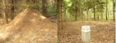 #7: Anthill and post branch of forestry - Mrowisko i słupek oddziałowy