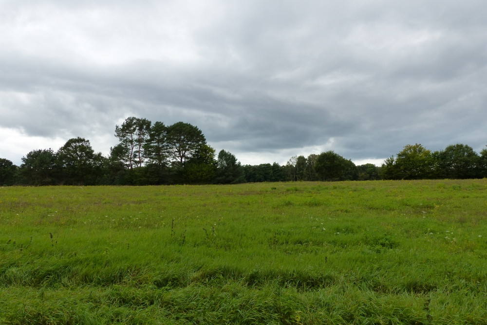 Nadciągające chmury zapowiadające deszcz / Clouds approaching, promising rain