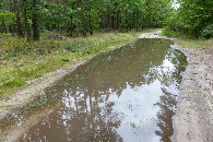 #10: Jenda z kałuż na drodze lesnej / One of the puddles on the forest road