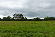 #11: Nadciągające chmury zapowiadające deszcz / Clouds approaching, promising rain