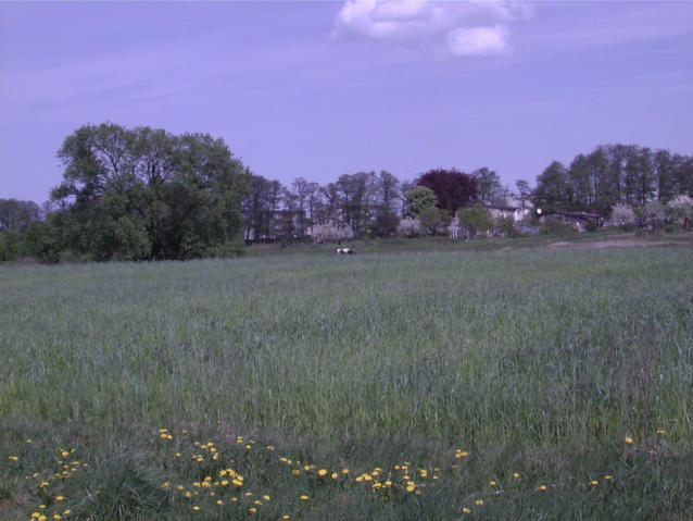 Spring on the confluence - wiosna na przecieciu