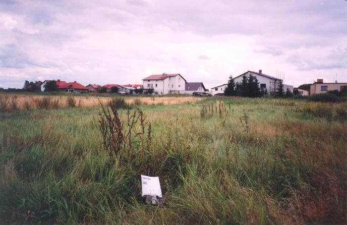 General view of the confluence (towards SE)