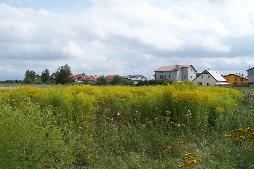 General view of the confluence (towards SE)