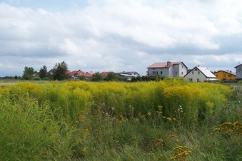 #1: General view of the confluence (towards SE)