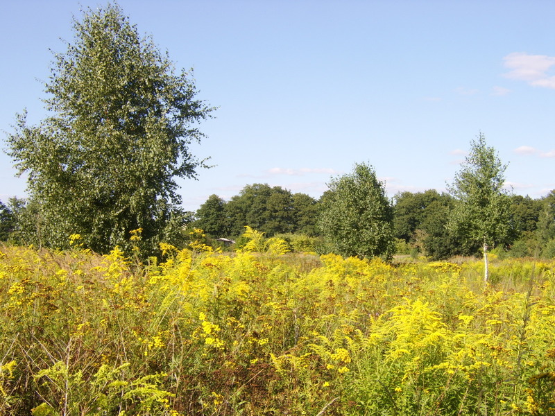 North view - Północ