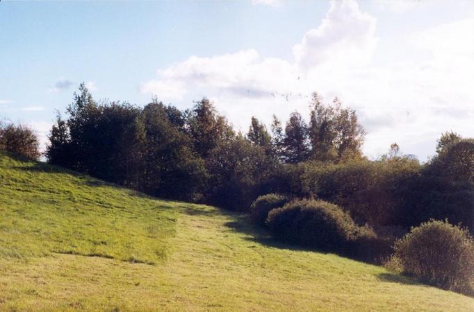 View towards W from the confluence