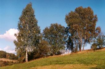 #1: General view of the confluence (towards SE)