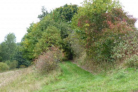 #10: Sympatyczna dróżka w kierunku punktu / A nice path towards the point