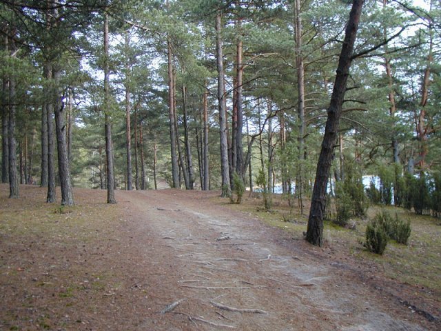 This path supposedly runs through the confluence