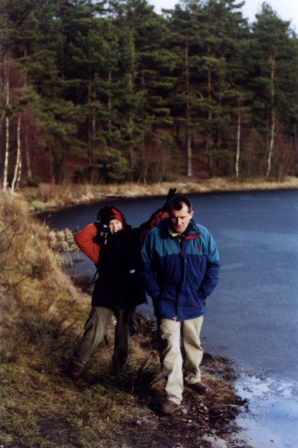 Visitors on site