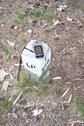 #10: Forest compartment marker