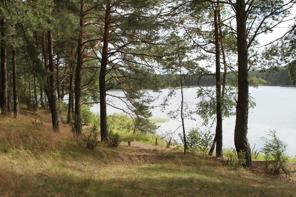 General view - Widok ogólny