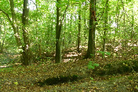 #3: Widok w kierunku E  / East veiw