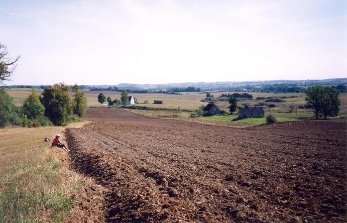 View towards E from the confluence
